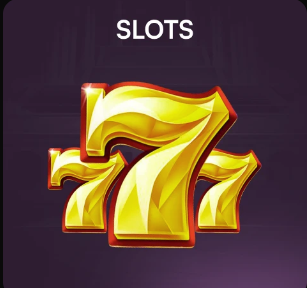 马奎尔：力挺卡里克转正，认为自己更适合四后卫体系